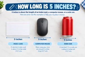 How-Long-Is-5-Inches